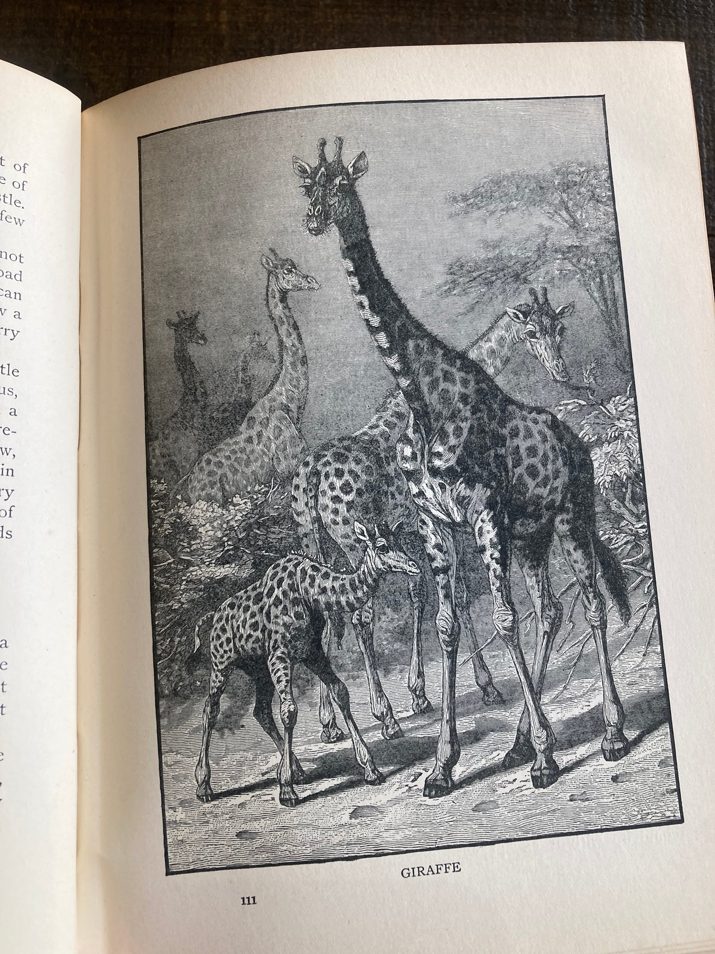 The World of Animal Life, edited by Fred Smith, early 1900s