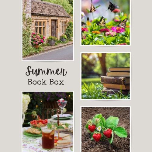 Shop Around the Corner Summer Book Box