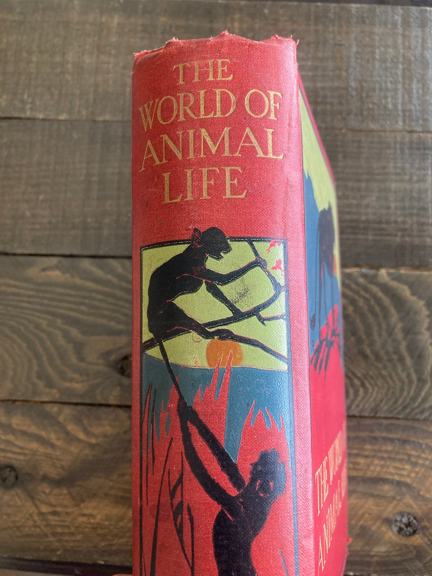 The World of Animal Life, edited by Fred Smith, early 1900s