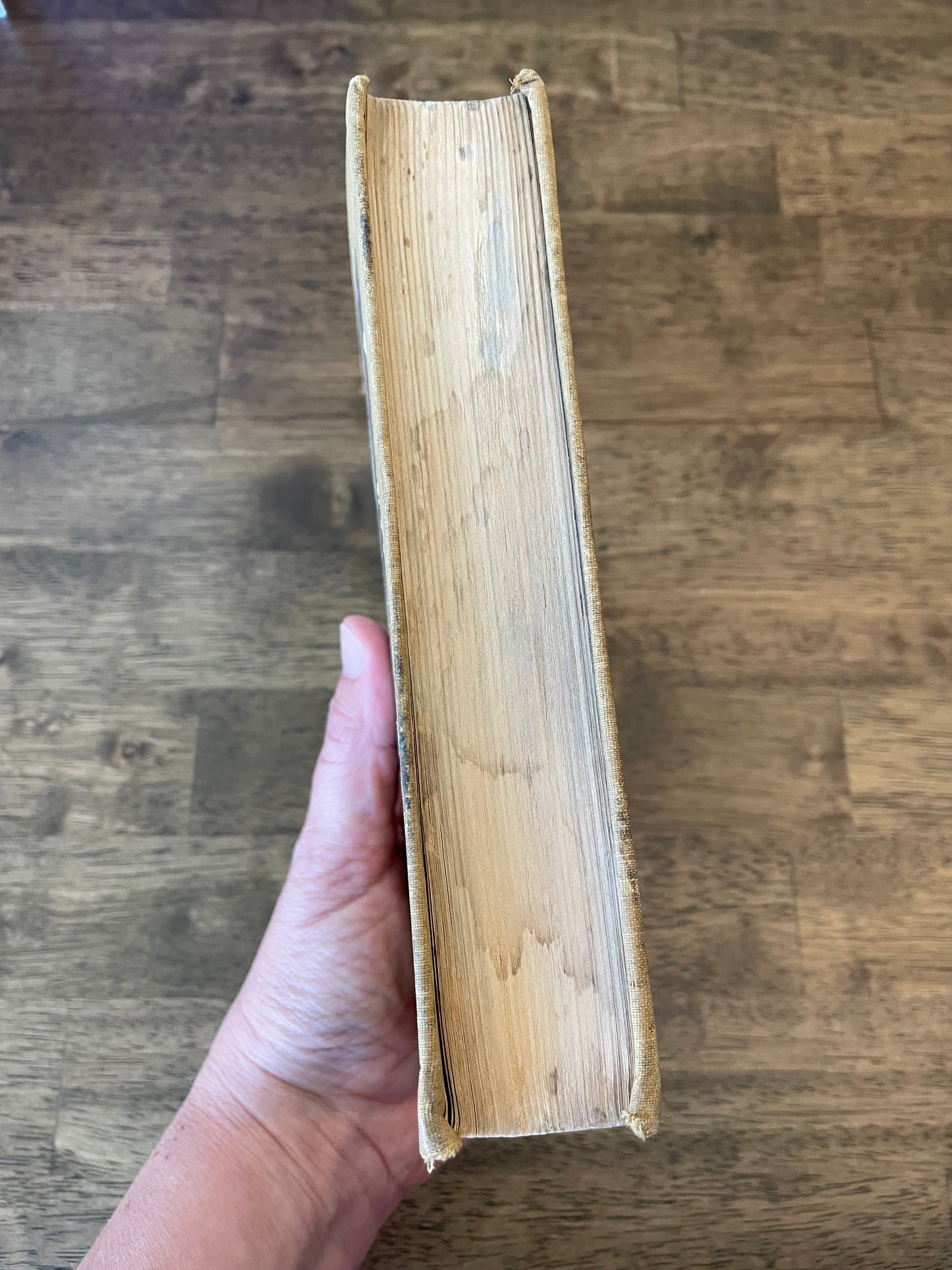 Anne of Avonlea by L.M. Montgomery—First Edition
