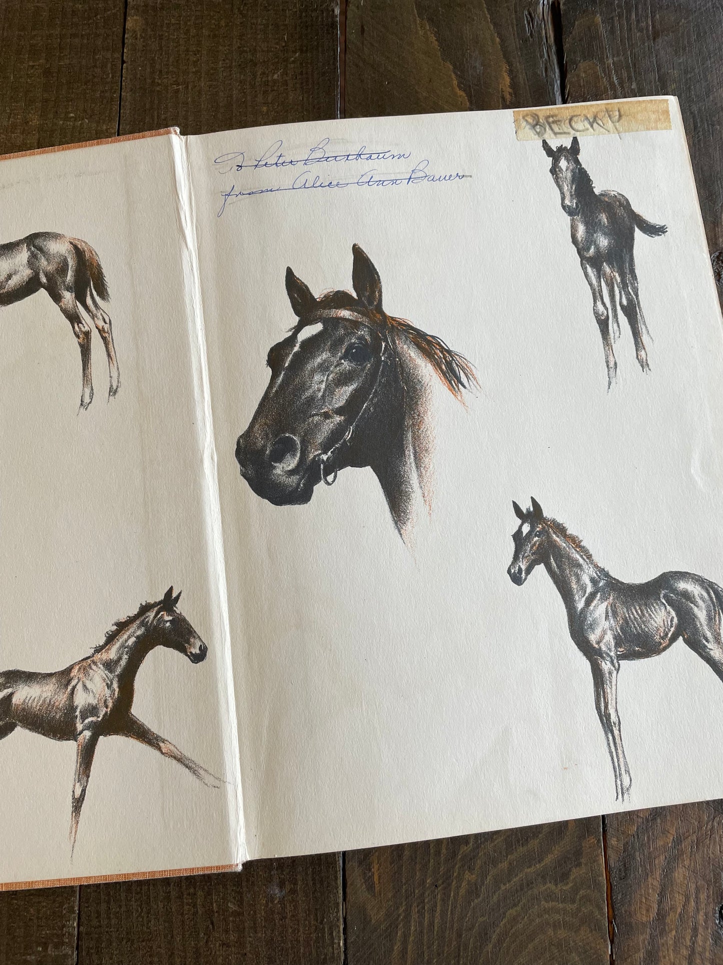 Salute, written and Illustrated by C.W. Anderson, 1940