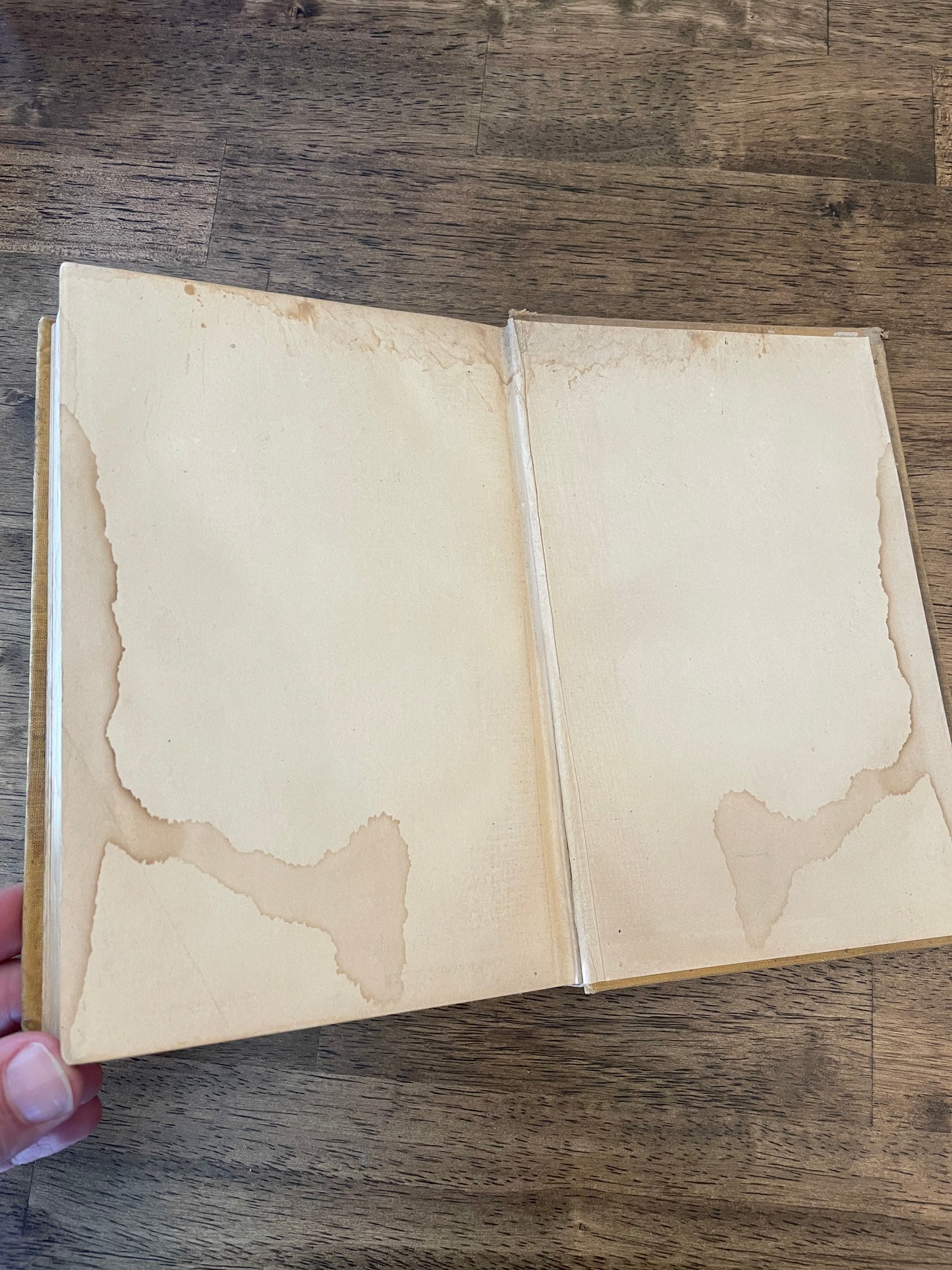 Anne of Avonlea by L.M. Montgomery—First Edition